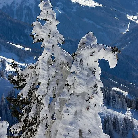 Baumgartner Westendorf