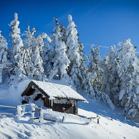 Baumgartner Westendorf