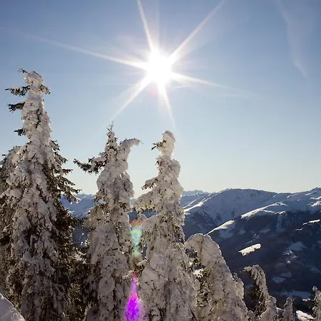 Apartment Baumgartner