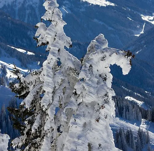 Baumgartner Westendorf