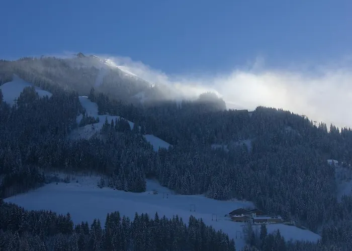 公寓 鲍姆加特纳公寓 *