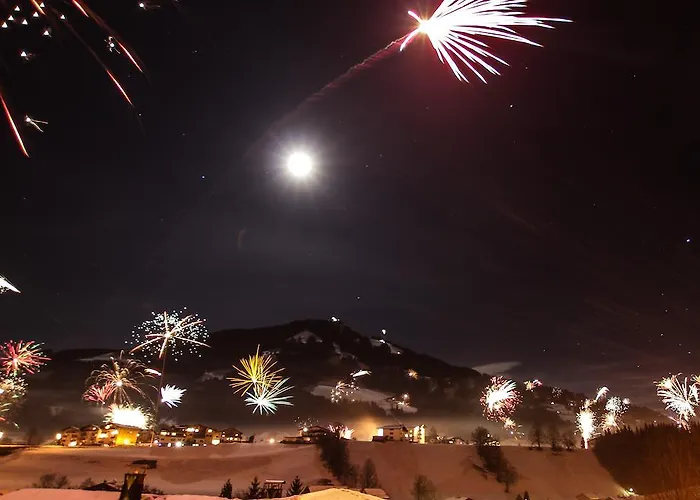 公寓 鲍姆加特纳公寓 *