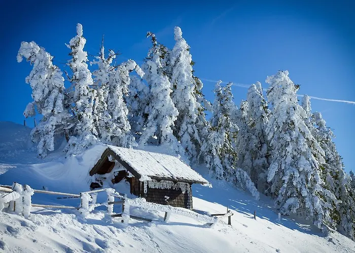 Baumgartner Westendorf