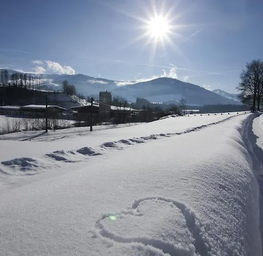 鲍姆加特纳公寓