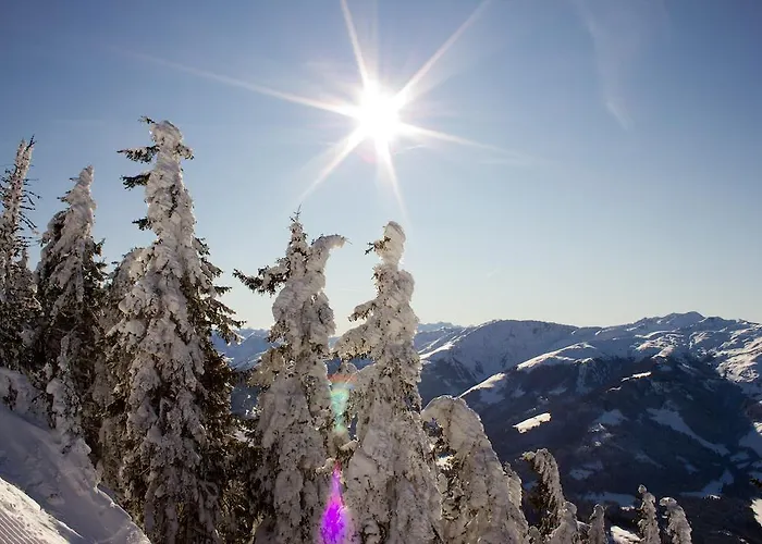 דירה Baumgartner