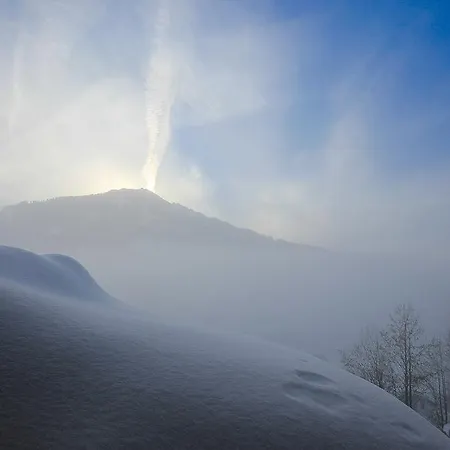 Baumgartner Westendorf